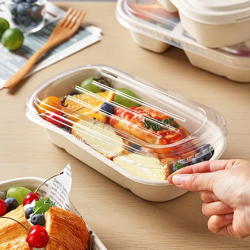 1000ml サトウキビ生分解性軽食ボックス